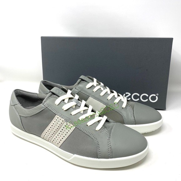 ecco wild dove